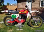 1979 Other Makes Maico MC250 for Sale