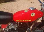 1975 Bultaco Pursang 250 for Sale
